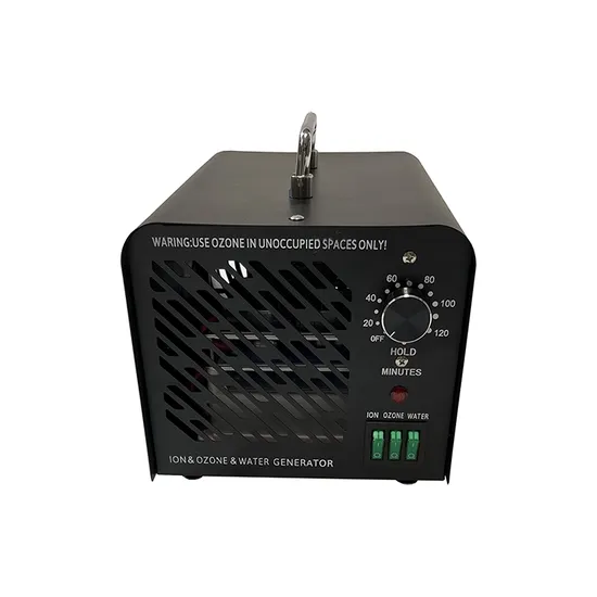 Water 220V1000mg Air 220V60g Negative Ion Three-Way Ozone Generator Purifier Ozonizer